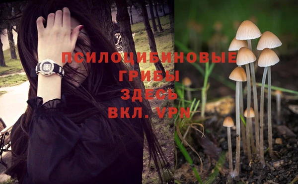 ECSTASY Алексин