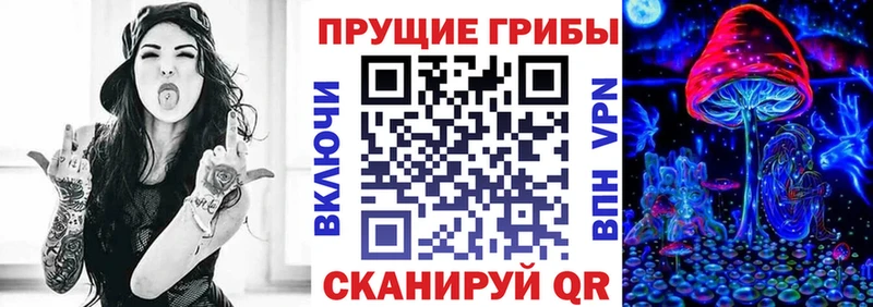 Псилоцибиновые грибы Cubensis Чишмы
